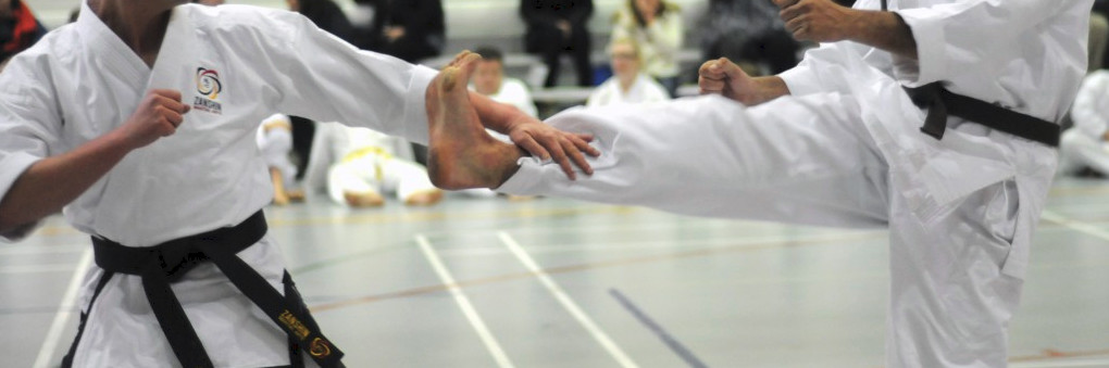 Cover Image of Zanshin back in 2026